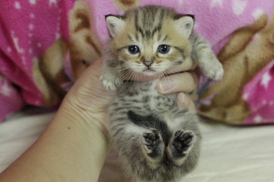 �괳�u�L�ߨ��W������